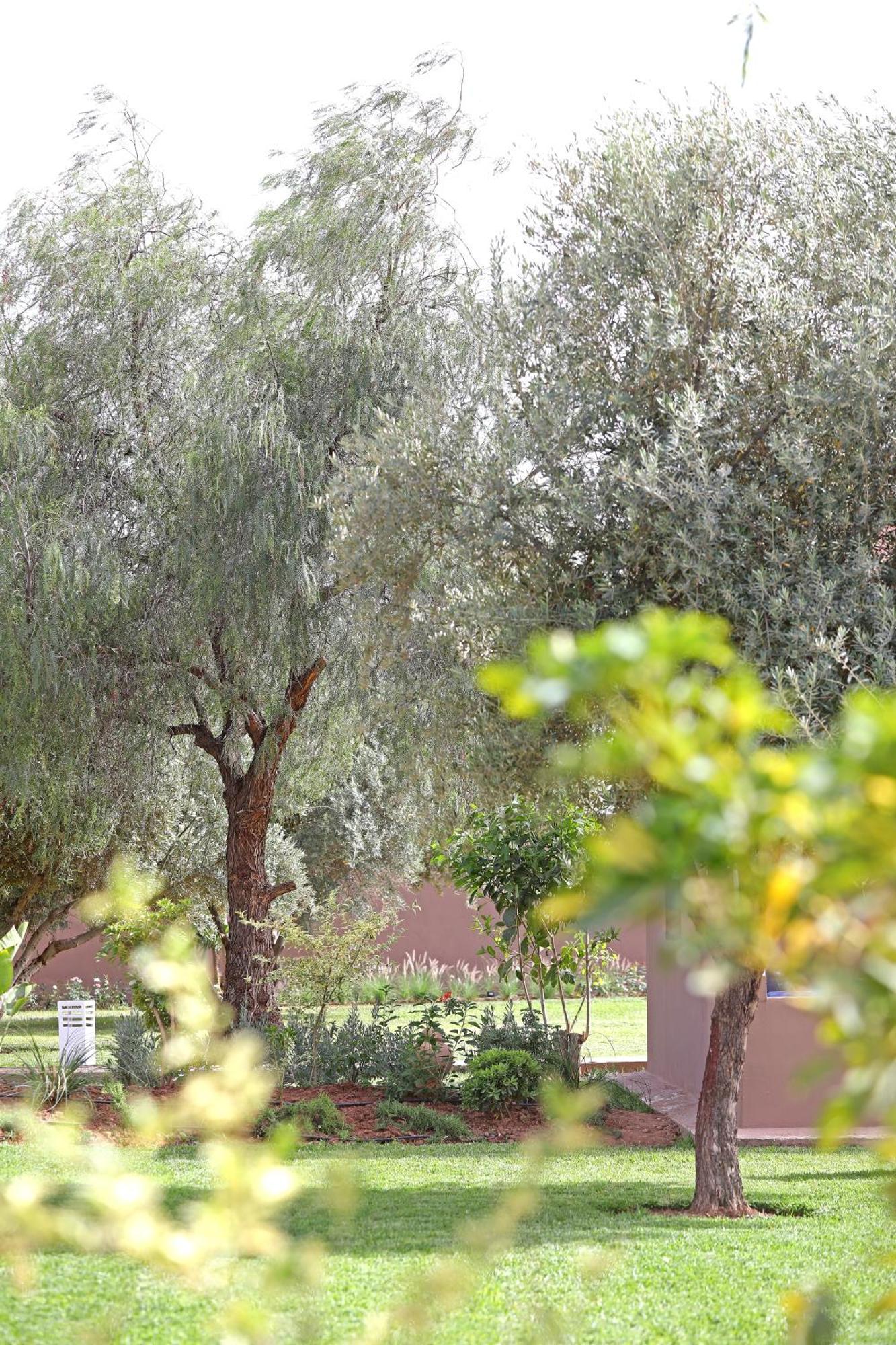 Domaine Du Douar Otel Chwiter Dış mekan fotoğraf